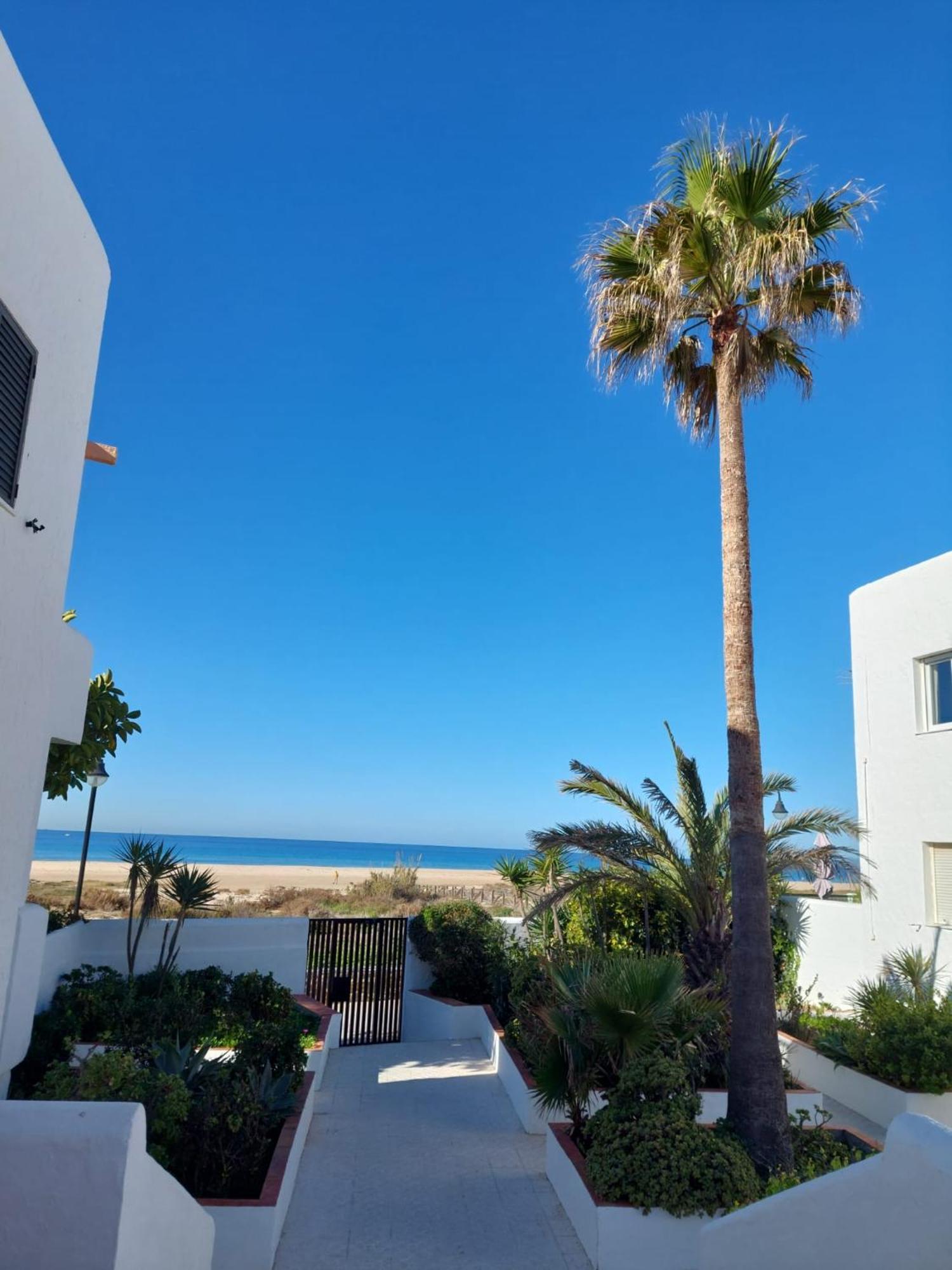 Apartmán Piscina, Wifi, Patio Con Vistas Tarifa Exteriér fotografie
