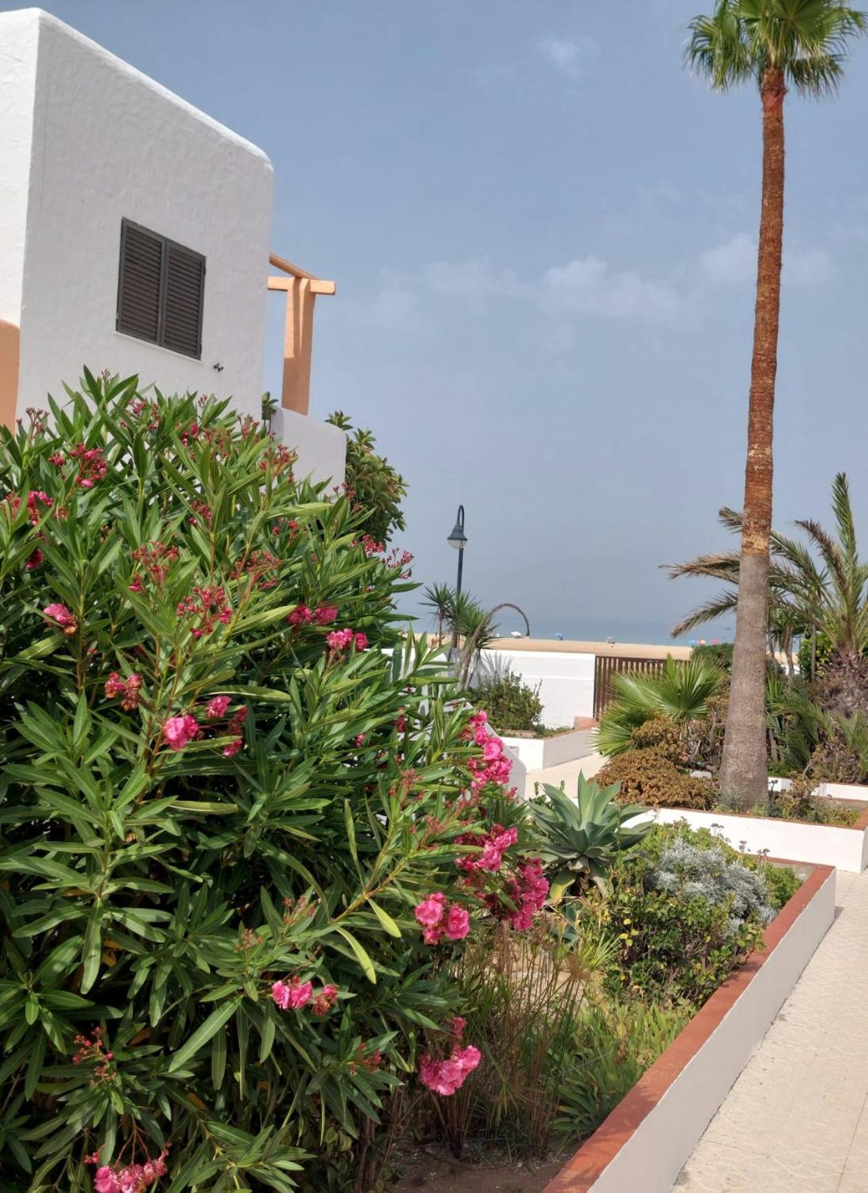 Apartmán Piscina, Wifi, Patio Con Vistas Tarifa Exteriér fotografie